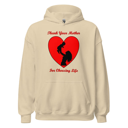 A002 Hoodie – Gildan 18500 Unisex Hoodie Featuring Mother and Baby Graphic with text “Thank Your Mother For Choosing Life.”